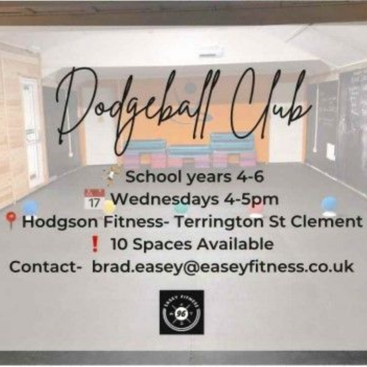 Terrington st clement community school dodgeball club